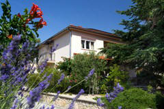 Apartment with beautiful garden sea view Baska island Krk Croatia Apartment with beautiful garden sea view Baska island Krk Croatia