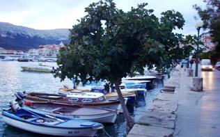 Feigenbaum und kleine Boote im Hafen von Baska