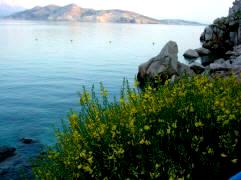 Frhling an der Meerespromenade in Baska Insel Krk Kroatien