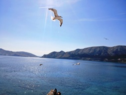 Baska Insel Krk Kroatien Appartement mit Balkon Meerblick direkt am Strand