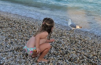 Kind Strand Moewe Baska Insel Krk Kroatien