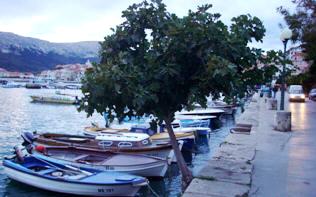 Feigenbaum und kleine Boote im Hafen von Baska Feigenbaum und kleine Boote im Hafen von Baska
