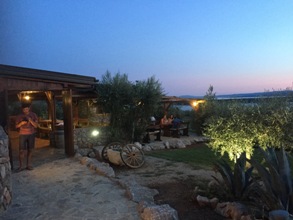 Island Krk Croatia Tavern in the olive garden